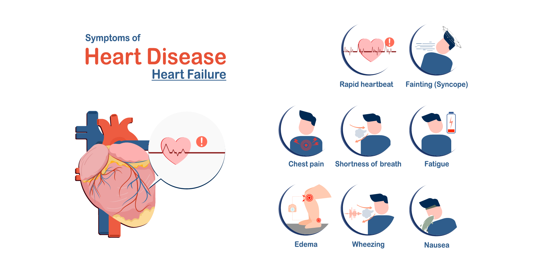 Heart Failure - Acute_Initial Assesment 1