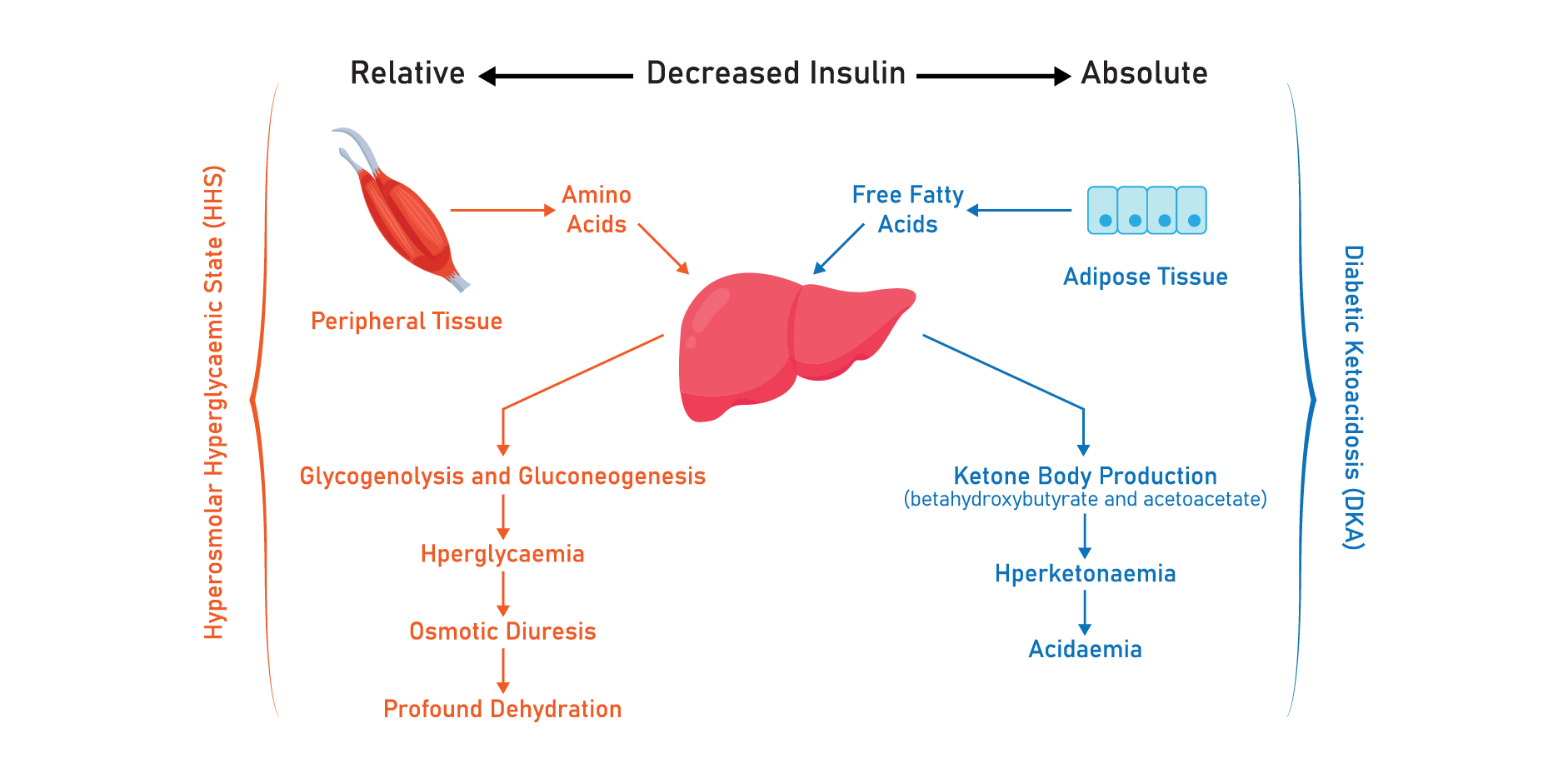 Diabetic Ketoacidosis & Hyperosmolar Hyperglycemic State_Disease Background