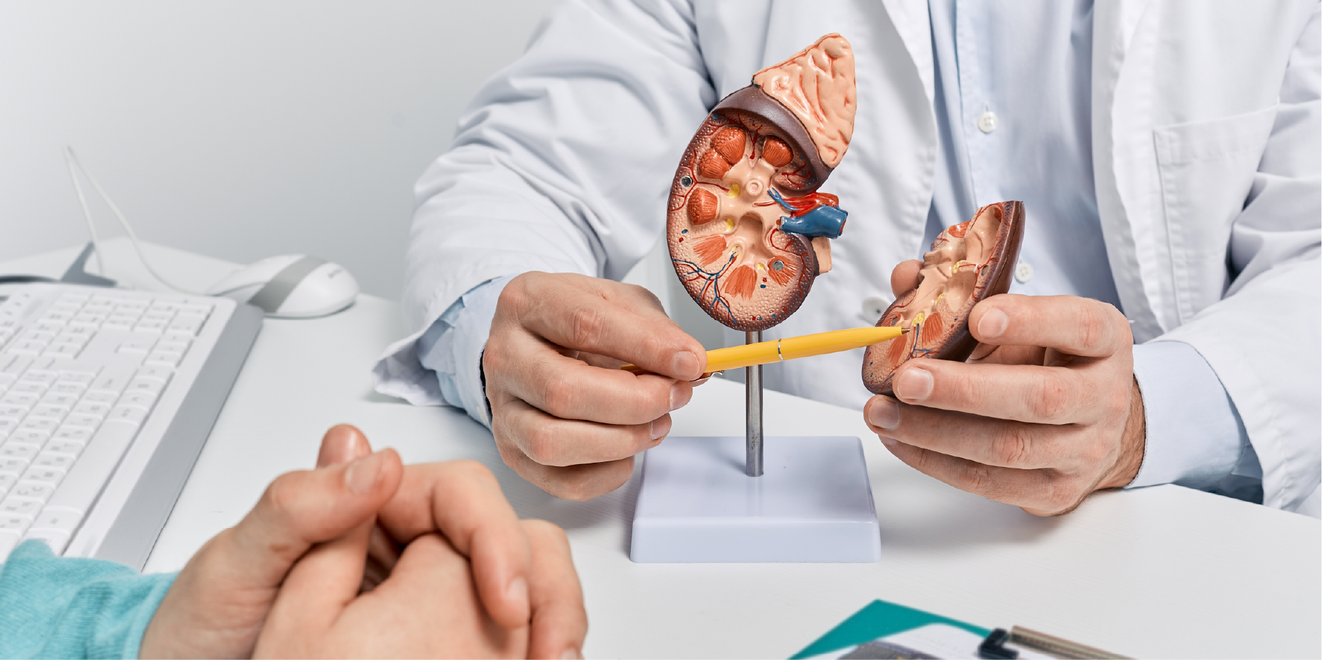 Renal Cancer_Disease Summary